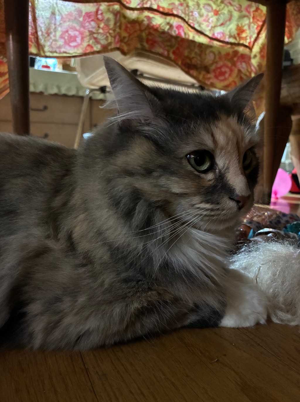 Overthinkings: Kids and&nbsp;Pets