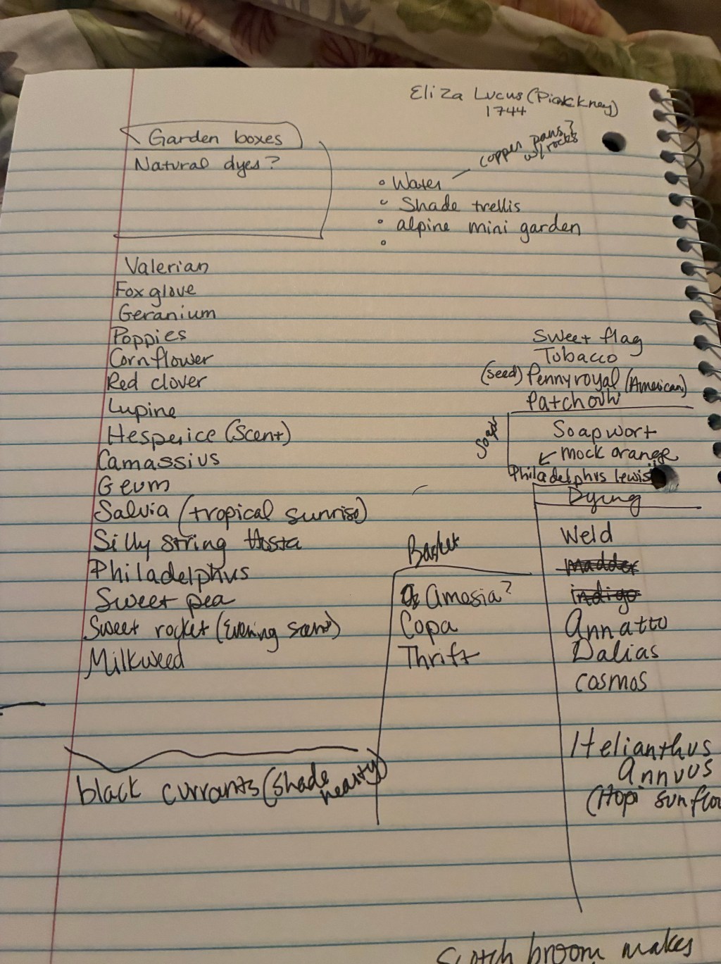 Hyperfocus: Garden Planning