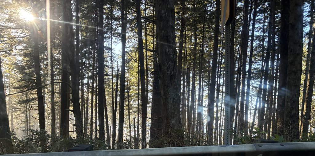 Hyperfocus of the Week: Writing Retreat&nbsp;’26