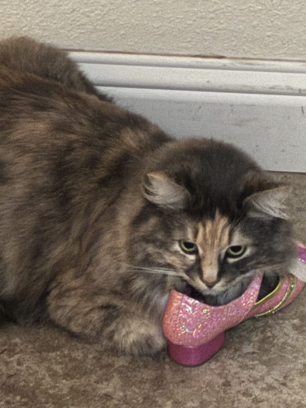 Overthinkings: Romance Tropes