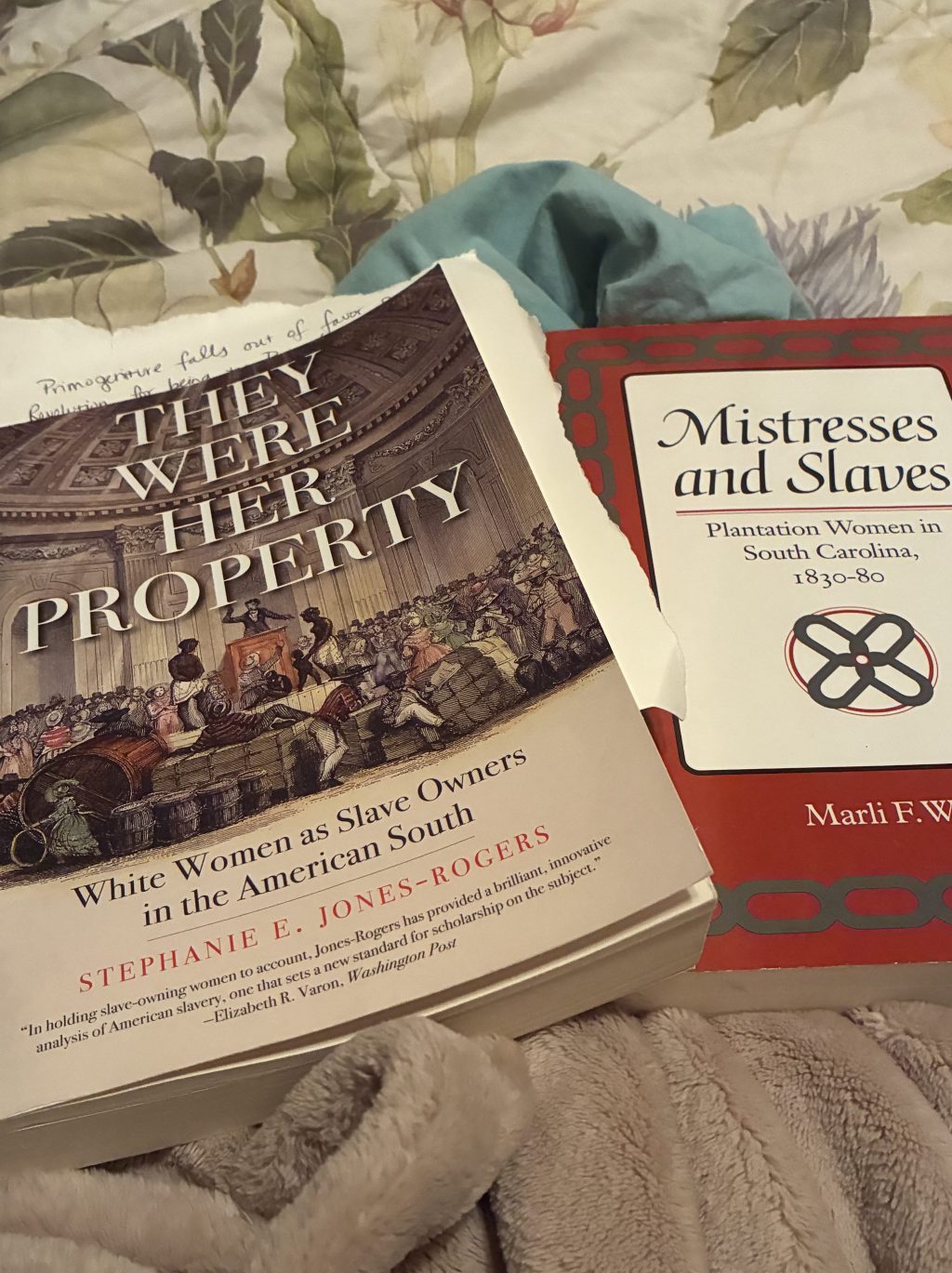 Hyperfocus of the Week: Slavery in Colonial America’s South