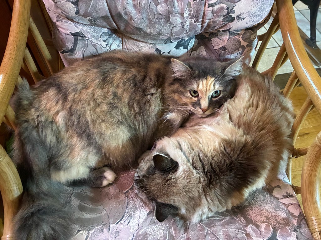 Overthinkings: Writing Romantic Moments